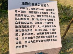 -黄埔油麻山森林公园