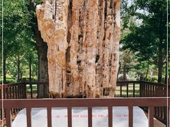 -青州市云门山风景区