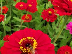 -帽儿山国家森林公园