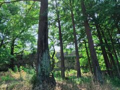 -阳台山自然风景区