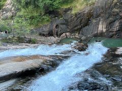 -广州白江湖森林公园