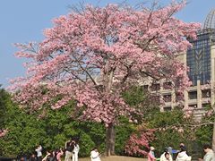 -风云岭森林公园