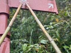 -萍乡武功山风景名胜区