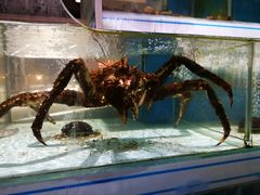 -利客来李村购物中心