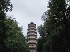 -灵谷景区