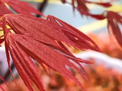 -上海爱以德护理院·康复(宝山院)