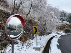 -四明山国家森林公园