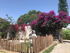 -金谷域澳洲庄园