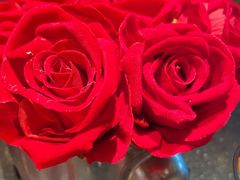 -华豫川酒家(双子塔店)