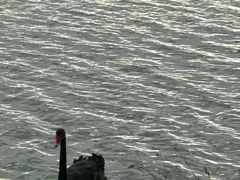 -素山寺森林公园