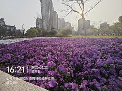 -新江湾城公园