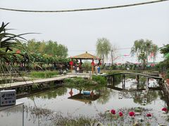 -同銮特种养殖场·龙虾垂钓