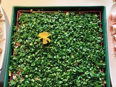 韭菜牛肉-小龙翻大江文化火锅(宽窄店)