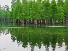 -白鹭湾湿地公园