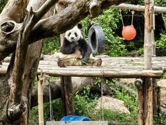 -宁波野生动物园