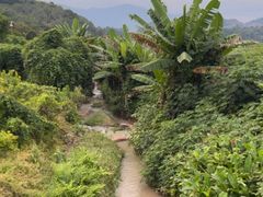 -福建土楼（华安）旅游区•大地土楼群