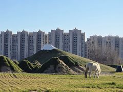 -林栖谷森林康养度假区