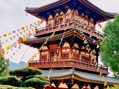 -庐山风景名胜区-东林大佛