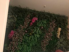 -SABAI THAI SPA泰式按摩体验馆(北城天街店)