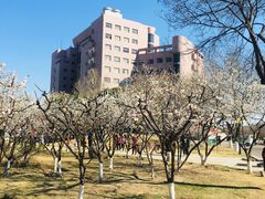 -山东理工大学