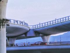 -演武大桥观景平台
