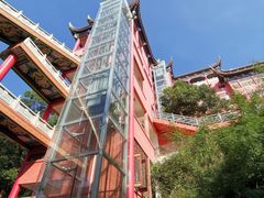 -东莞市大岭山森林公园