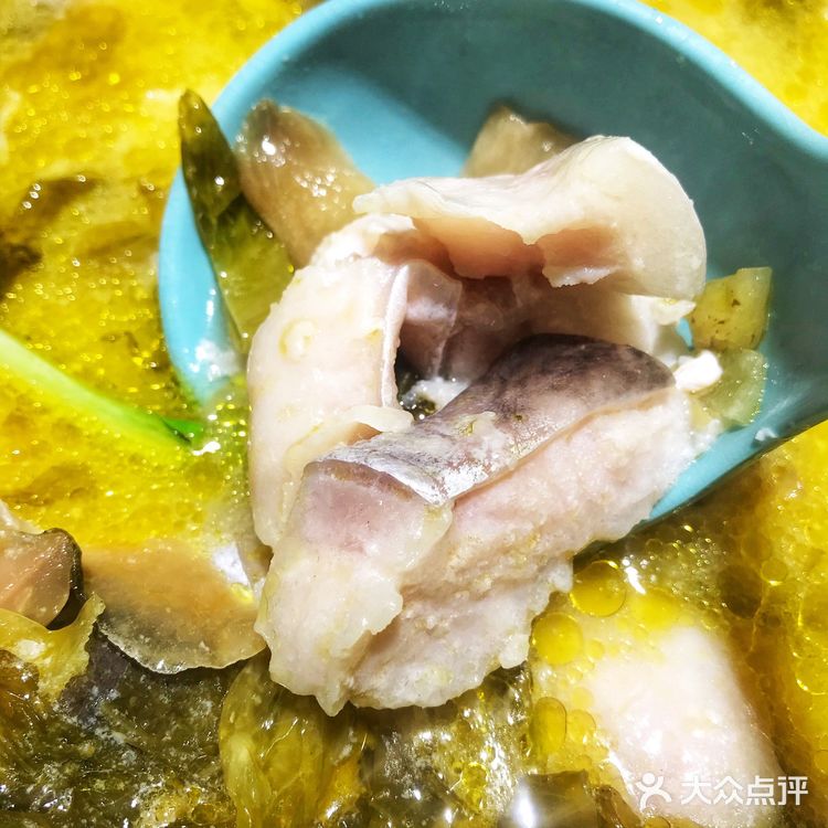大智路▎坛老徐有料鱼火锅🐟