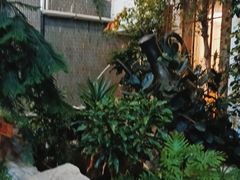 -滕头生态酒店(奉化店)