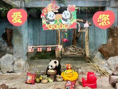 -海南热带野生动植物园