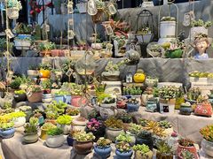 -循礼门鲜花花市(武汉循礼门店)