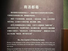 -亳州博物馆
