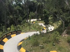 -圣淘沙天际线斜坡滑车