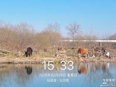 -皤滩古镇