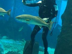 -北戴河圣蓝海洋公园