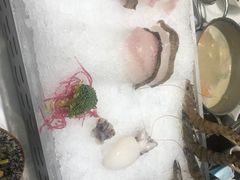 -红鼎豆捞·非遗鲍皇汤火锅(宝丰路店)