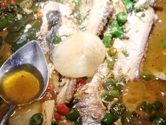 -探鱼·鲜青椒爽麻烤鱼(中山大信新都汇店)