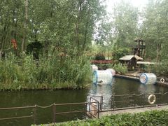 -合肥滨湖国家森林公园