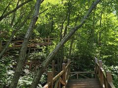 -大岭沟猕猴桃谷风景区