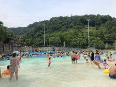 -重庆海昌加勒比海水世界