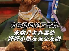 -瑞虹新天地月亮湾