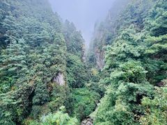 -苍山感通索道