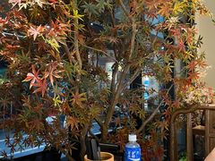 -首秀·四川料理(星耀101店)