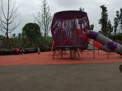 -枫香湖儿童公园