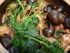 -食爺炭炉鸡煲·烧烤