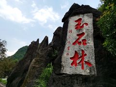 -玉石林风景区