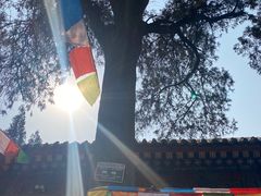 -西安市广仁寺