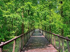 -黄海国家森林公园