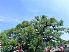 -新安江山水画廊风景区