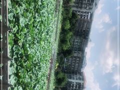 -潘塘公园