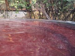 -仁爱团泊湖温泉中心